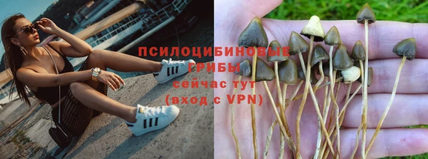 скорость Алзамай