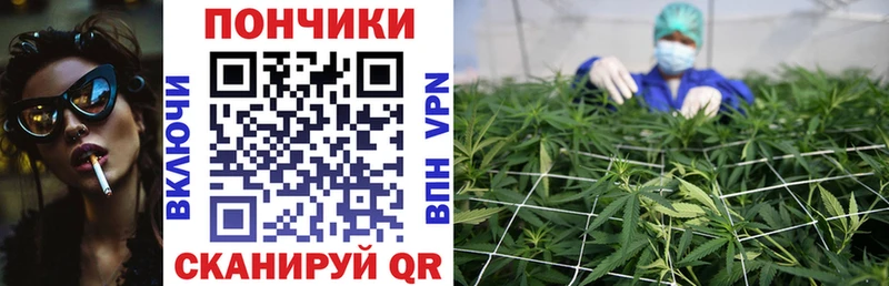купить  цена  Томмот  площадка телеграм  Конопля сатива 